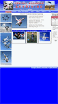 Mobile Screenshot of centralarkansasskydiving.com